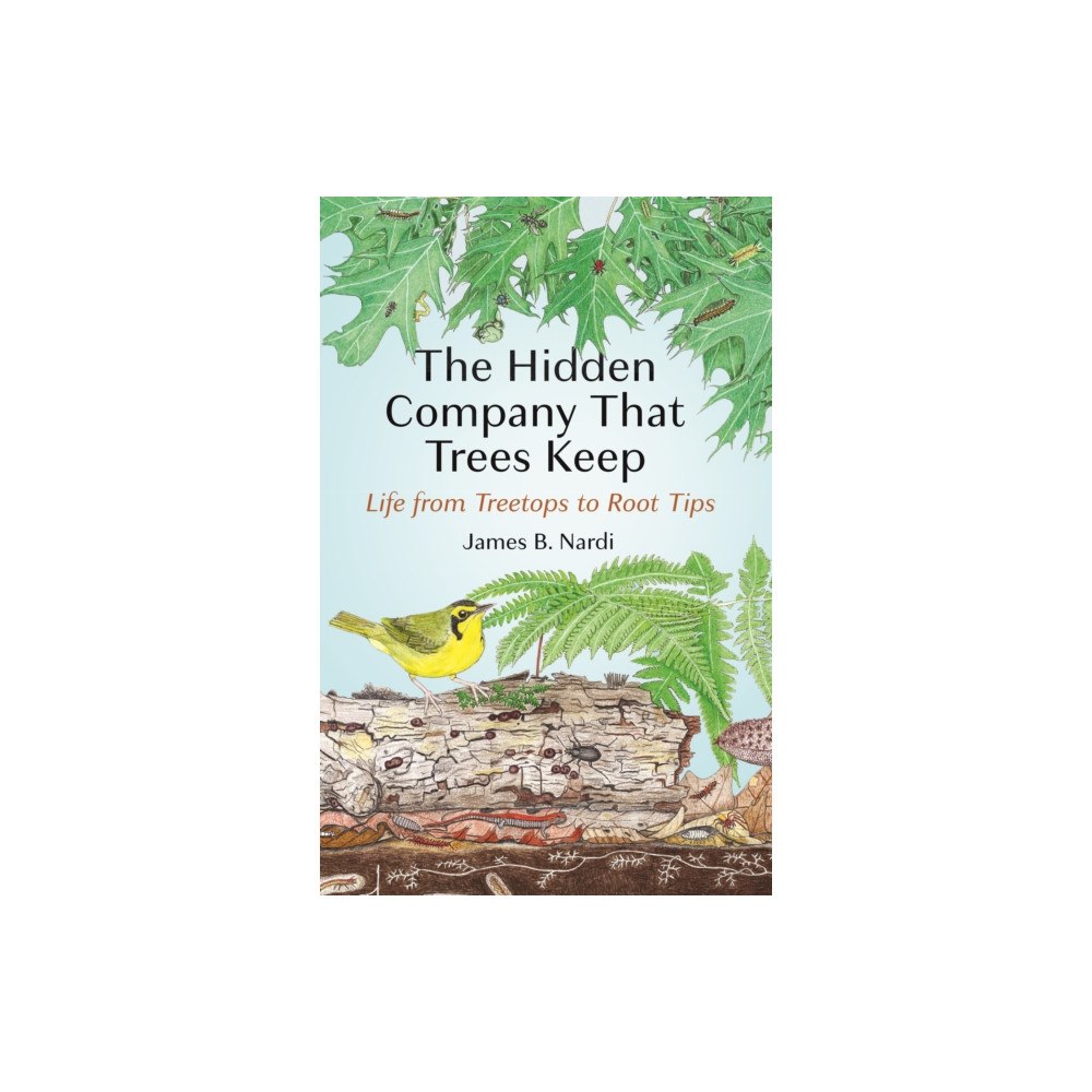 Princeton University Press The Hidden Company That Trees Keep (häftad, eng)