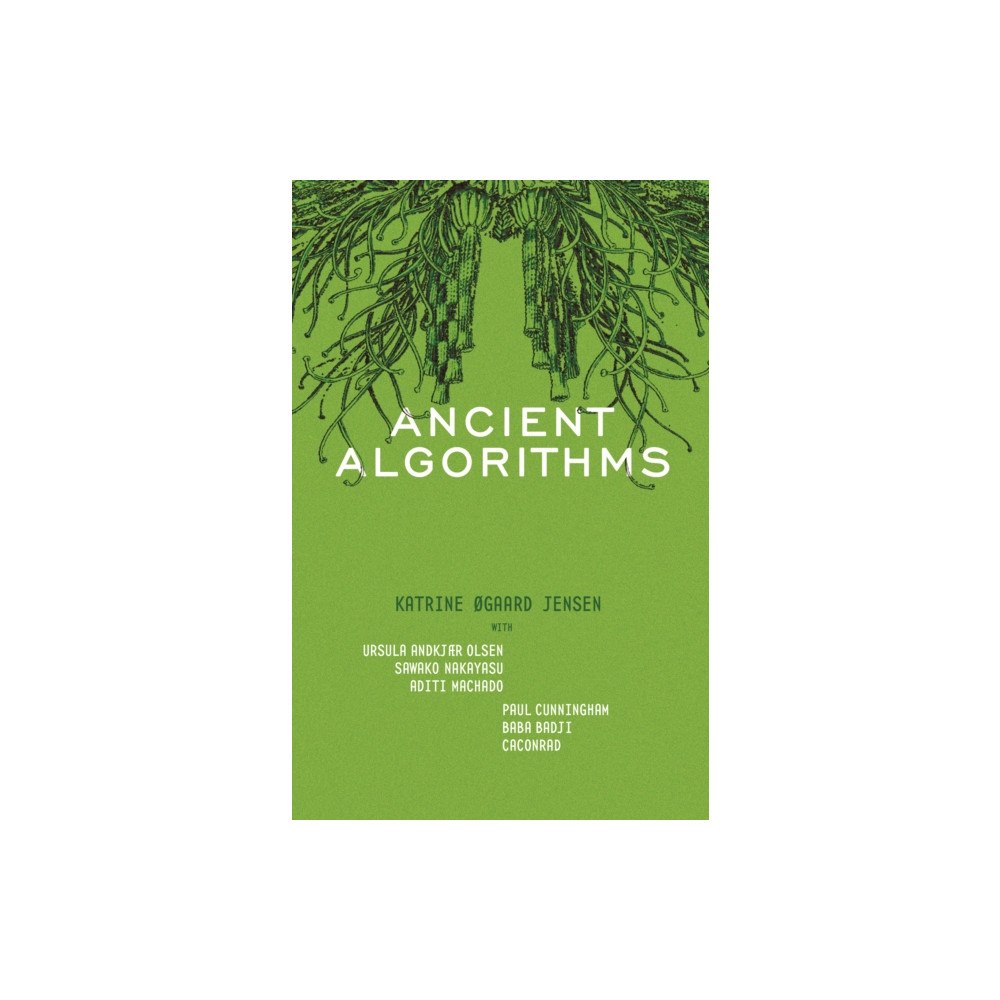 Sarabande Books, Incorporated Ancient Algorithms (häftad, eng)