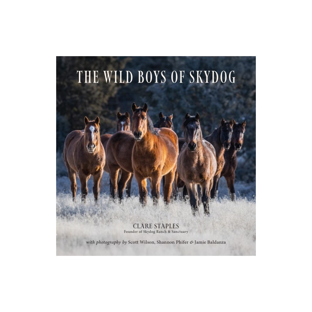 Trafalgar Square The Wild Boys of Skydog (inbunden, eng)