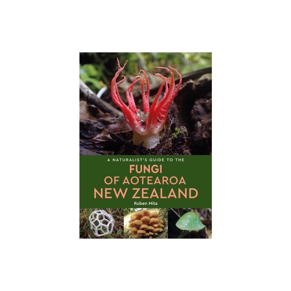 John Beaufoy Publishing Ltd A Naturalist's Guide to the Fungi of Aotearoa New Zealand (häftad, eng)