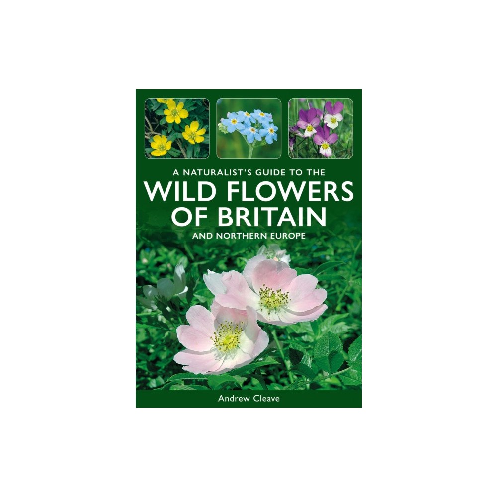 John Beaufoy Publishing Ltd A Naturalist's Guide to the Wild Flowers of Britain and Northern Europe (häftad, eng)