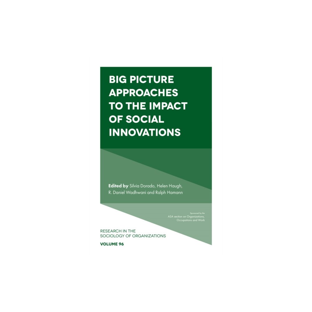 Emerald Publishing Limited Big Picture Approaches to the Impact of Social Innovations (inbunden, eng)