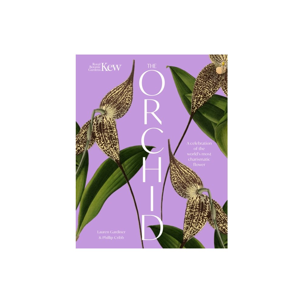 Headline Publishing Group The Orchid (inbunden, eng)