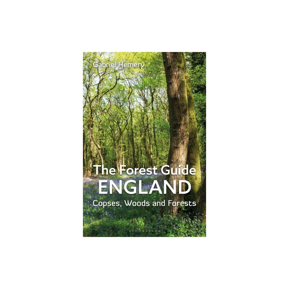Bloomsbury Publishing PLC The Forest Guide: England (häftad, eng)