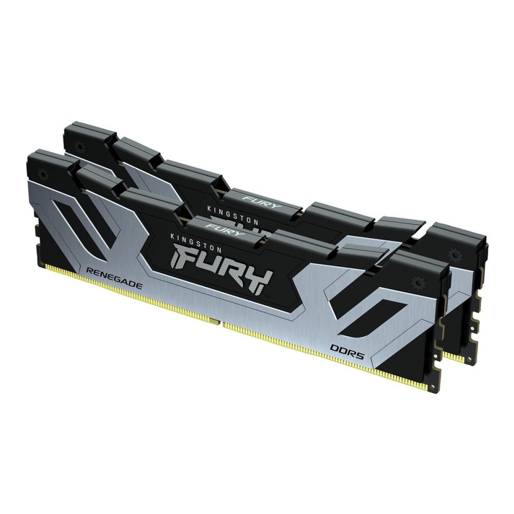 Kingston Technology Kingston FURY Renegade