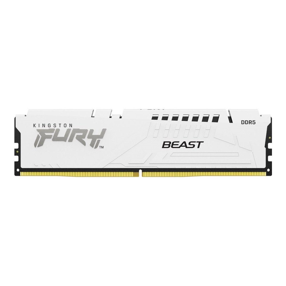 Kingston Technology Kingston FURY Beast