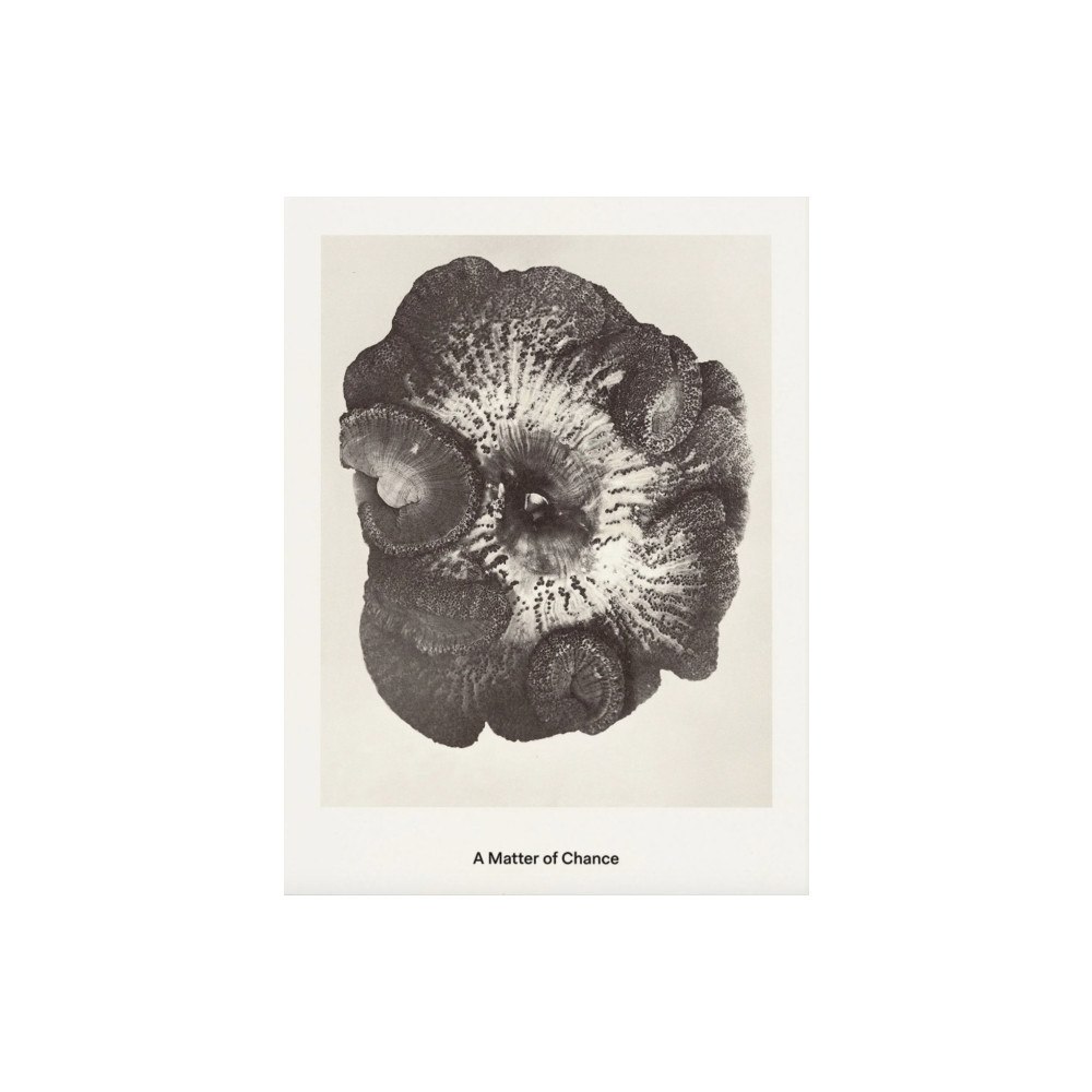 Poursuite editions A Matter of Chance (häftad, eng)