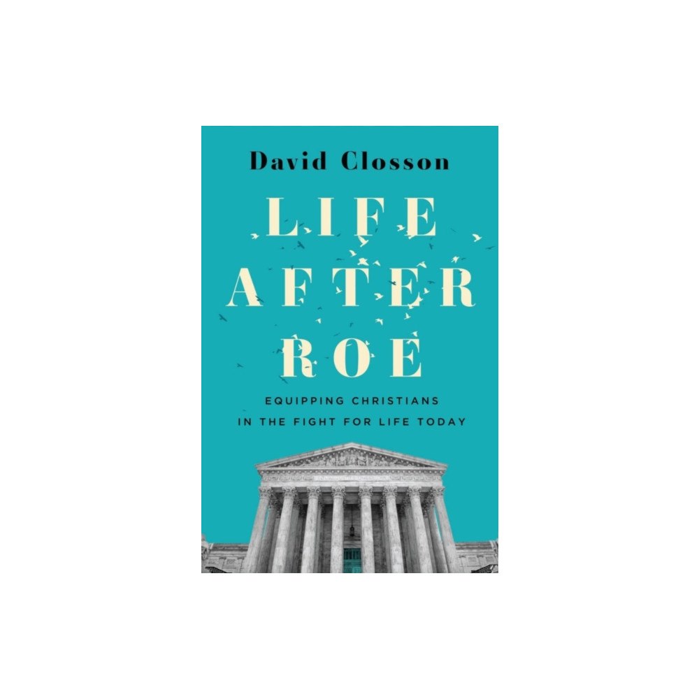 LifeWay Christian Resources Life After Roe (häftad, eng)