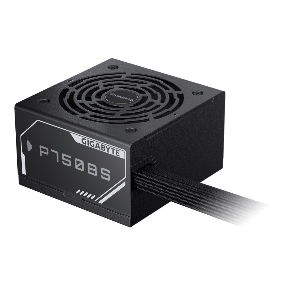 Gigabyte Technology Gigabyte P750BS