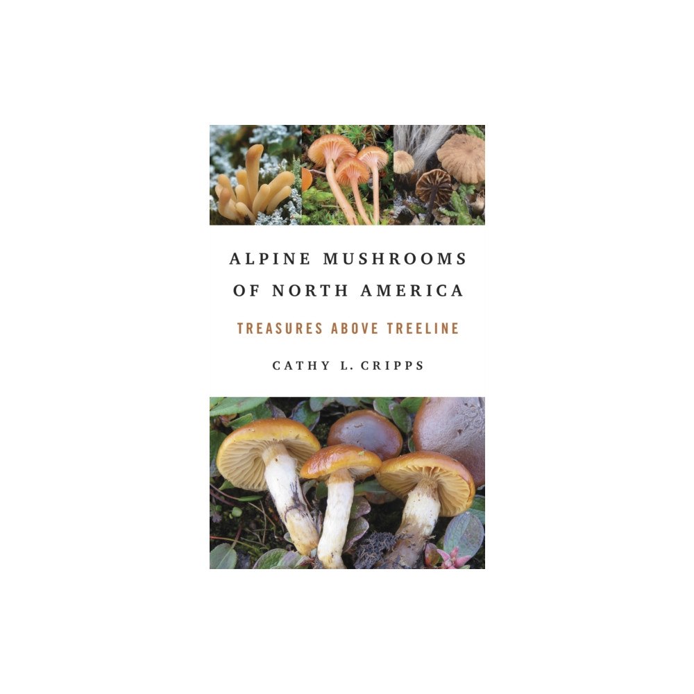 University of illinois press Alpine Mushrooms of North America (häftad, eng)
