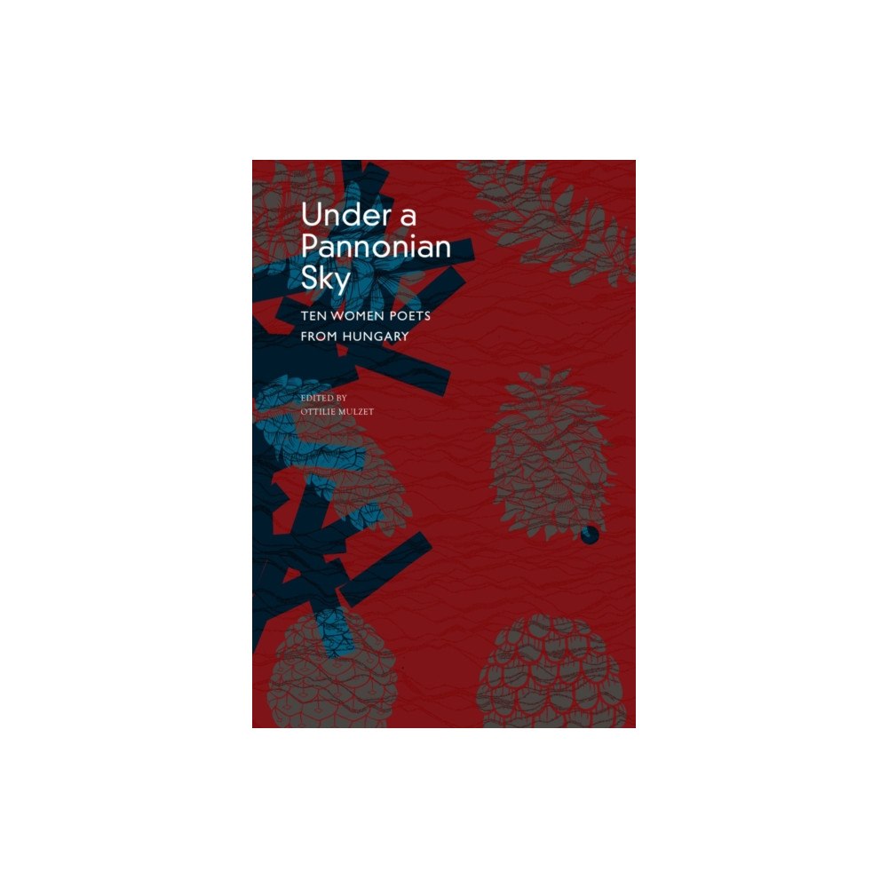 Seagull Books London Ltd Under a Pannonian Sky (häftad, eng)