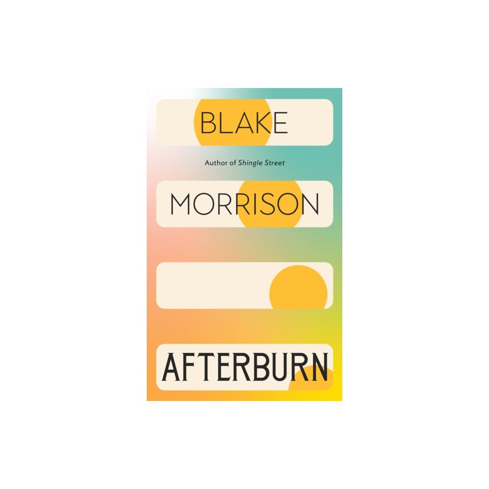 Vintage Publishing Afterburn (häftad, eng)