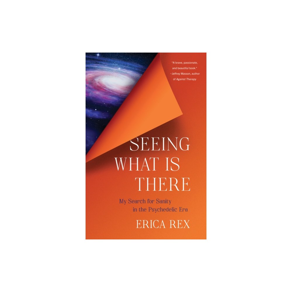 She Writes Press Seeing What Is There (häftad, eng)