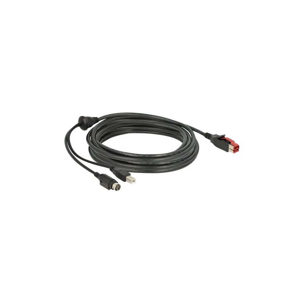 DeLOCK Delock - USB-kabel med egen strömförsörjning - 5 m