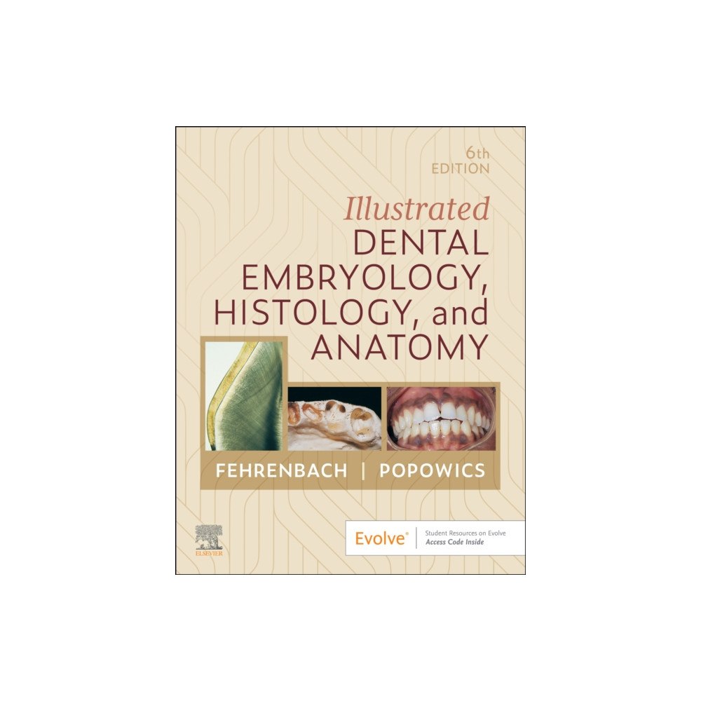 Elsevier Health Sciences Illustrated Dental Embryology, Histology, and Anatomy (häftad, eng)