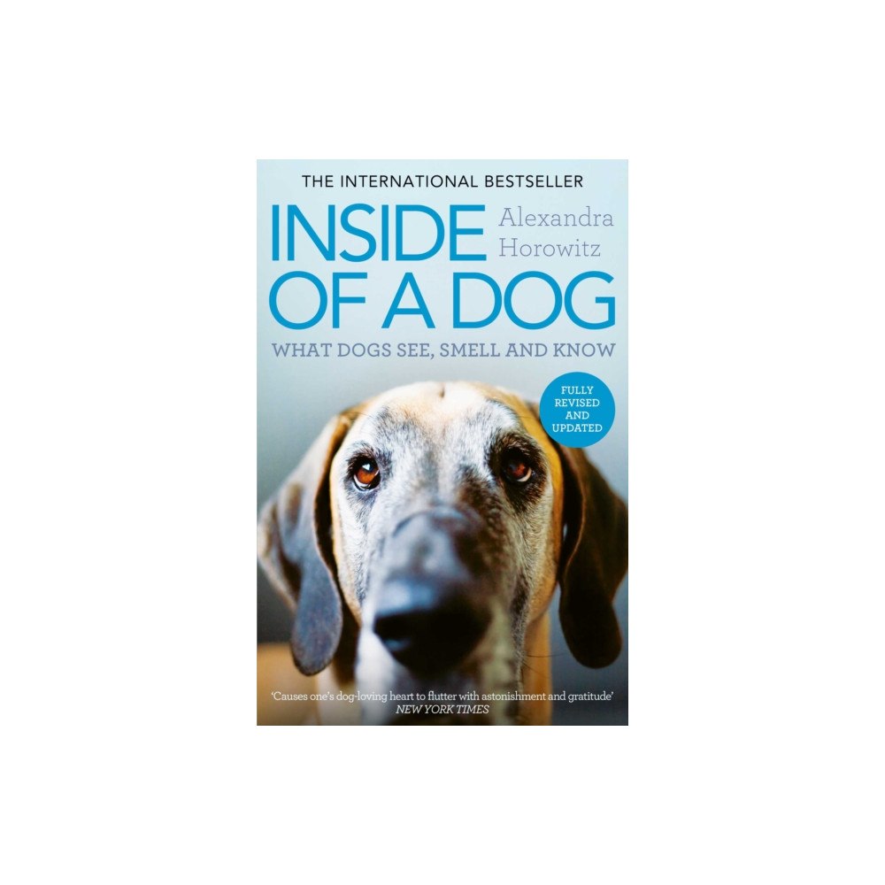 Simon & Schuster Ltd Inside of a Dog (häftad, eng)