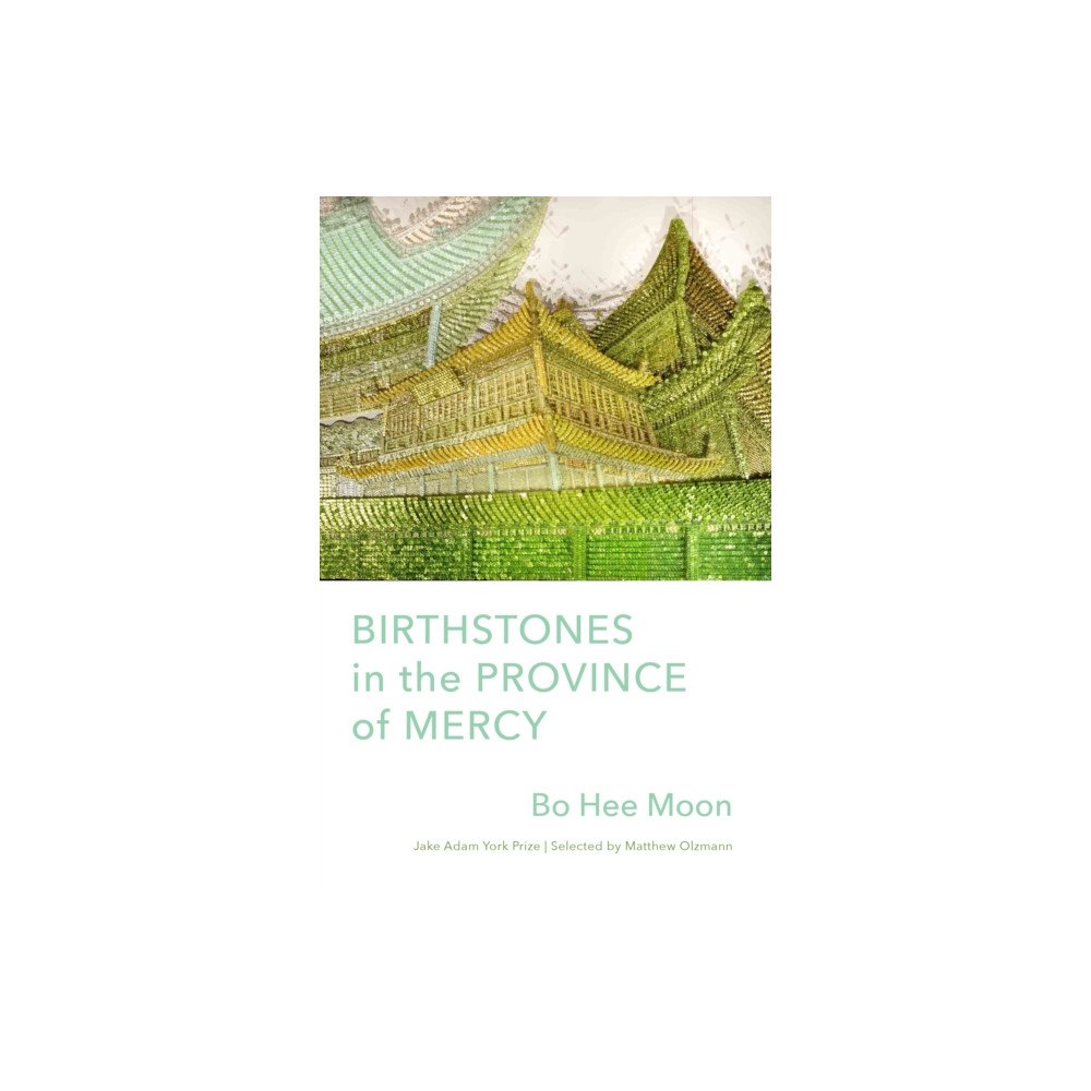 Milkweed Editions Birthstones in the Province of Mercy (häftad, eng)