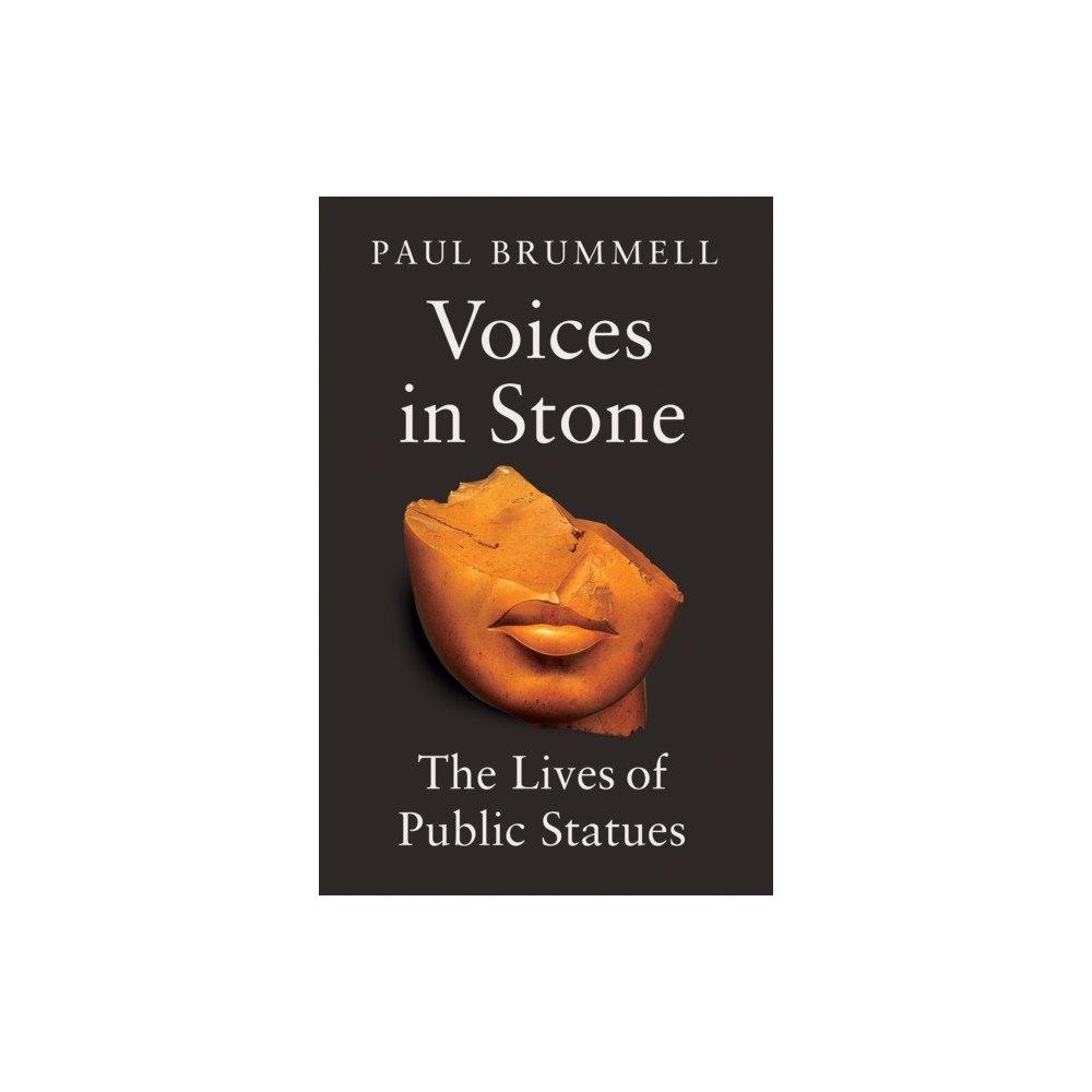 C hurst & co publishers ltd Voices in Stone (inbunden, eng)