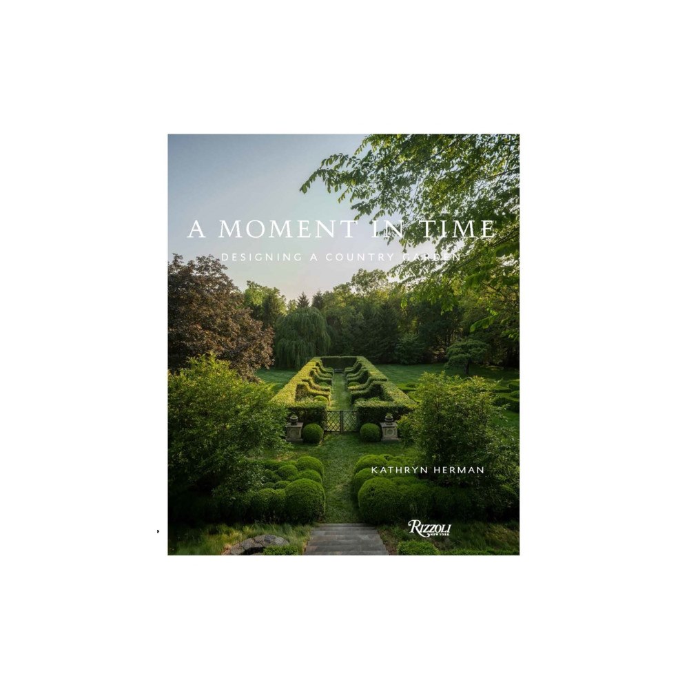 Rizzoli International Publications A Moment In Time (inbunden, eng)