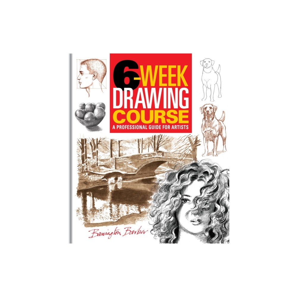Arcturus publishing ltd 6-Week Drawing Course (häftad, eng)
