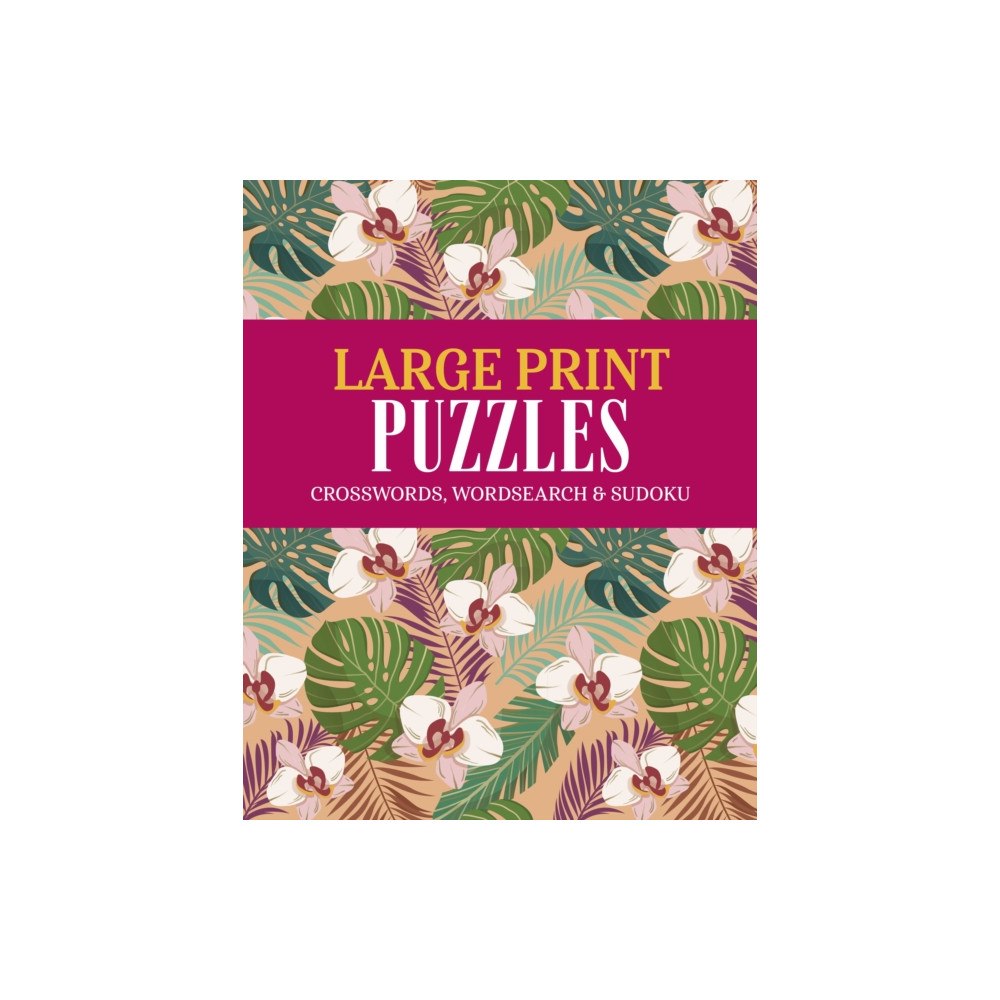 Arcturus publishing ltd Large Print Puzzles (häftad, eng)