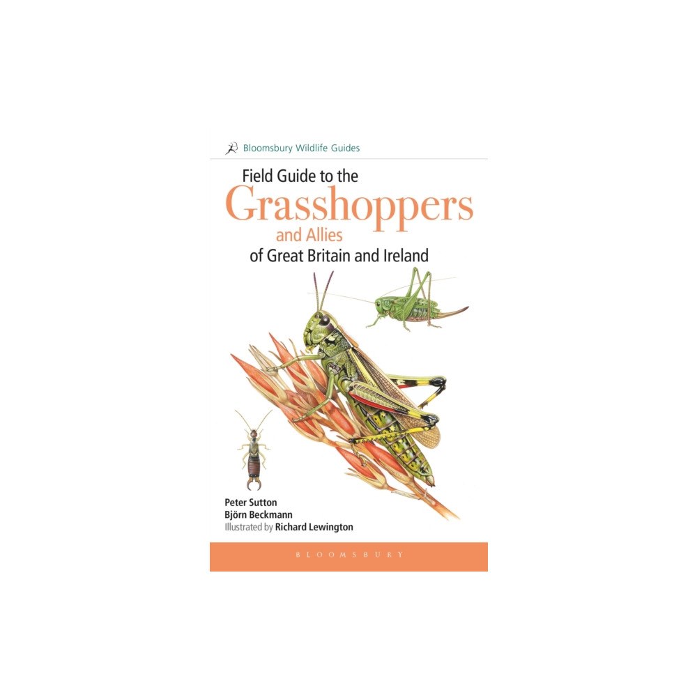 Bloomsbury Publishing PLC Field Guide to the Grasshoppers and Allies of Great Britain and Ireland (inbunden, eng)