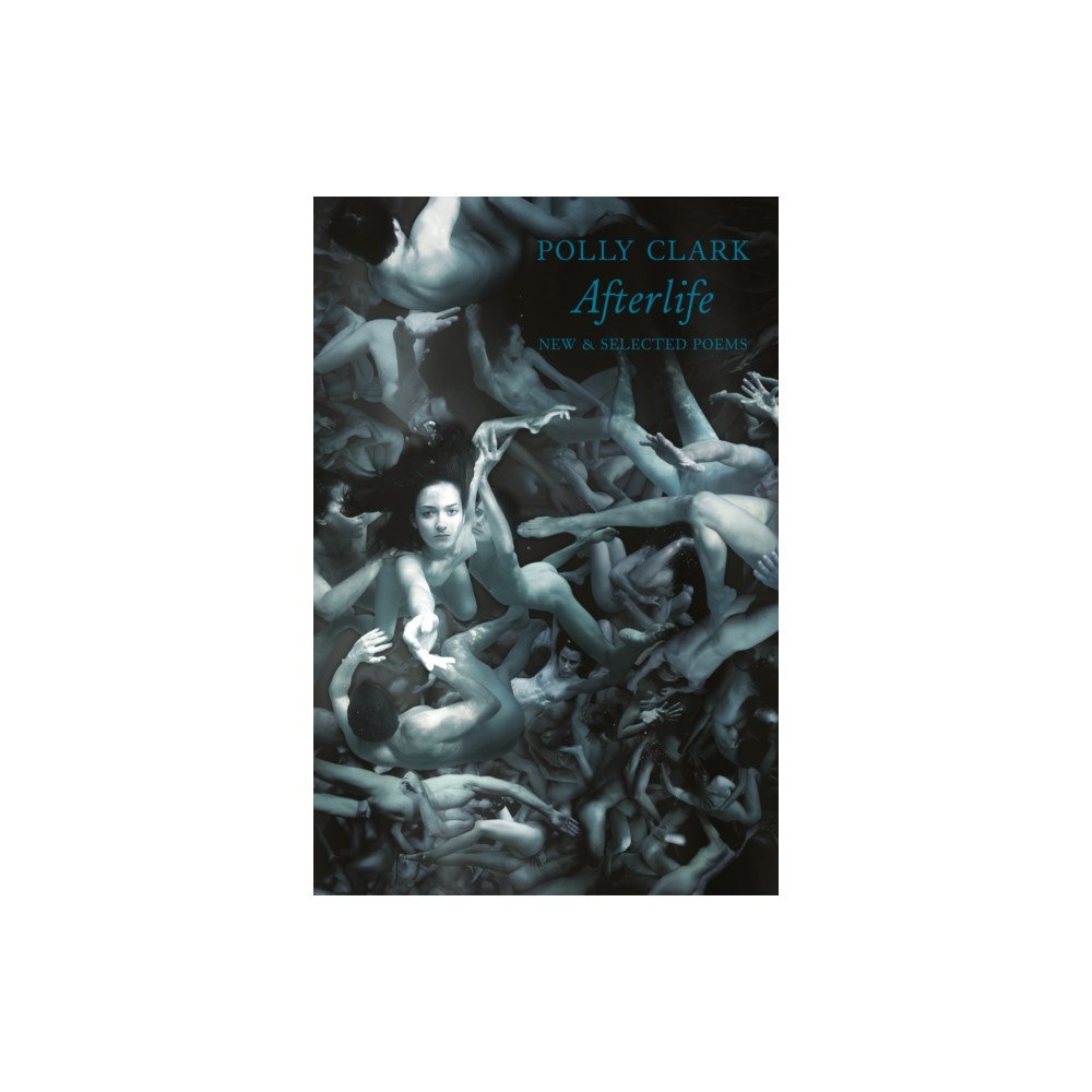 Bloodaxe Books Ltd Afterlife (häftad, eng)