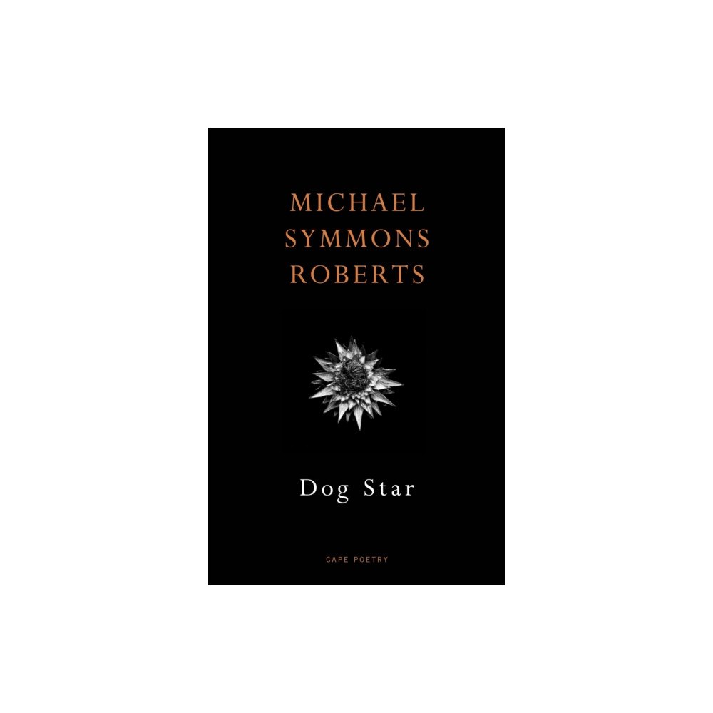 Vintage Publishing Dog Star (häftad, eng)