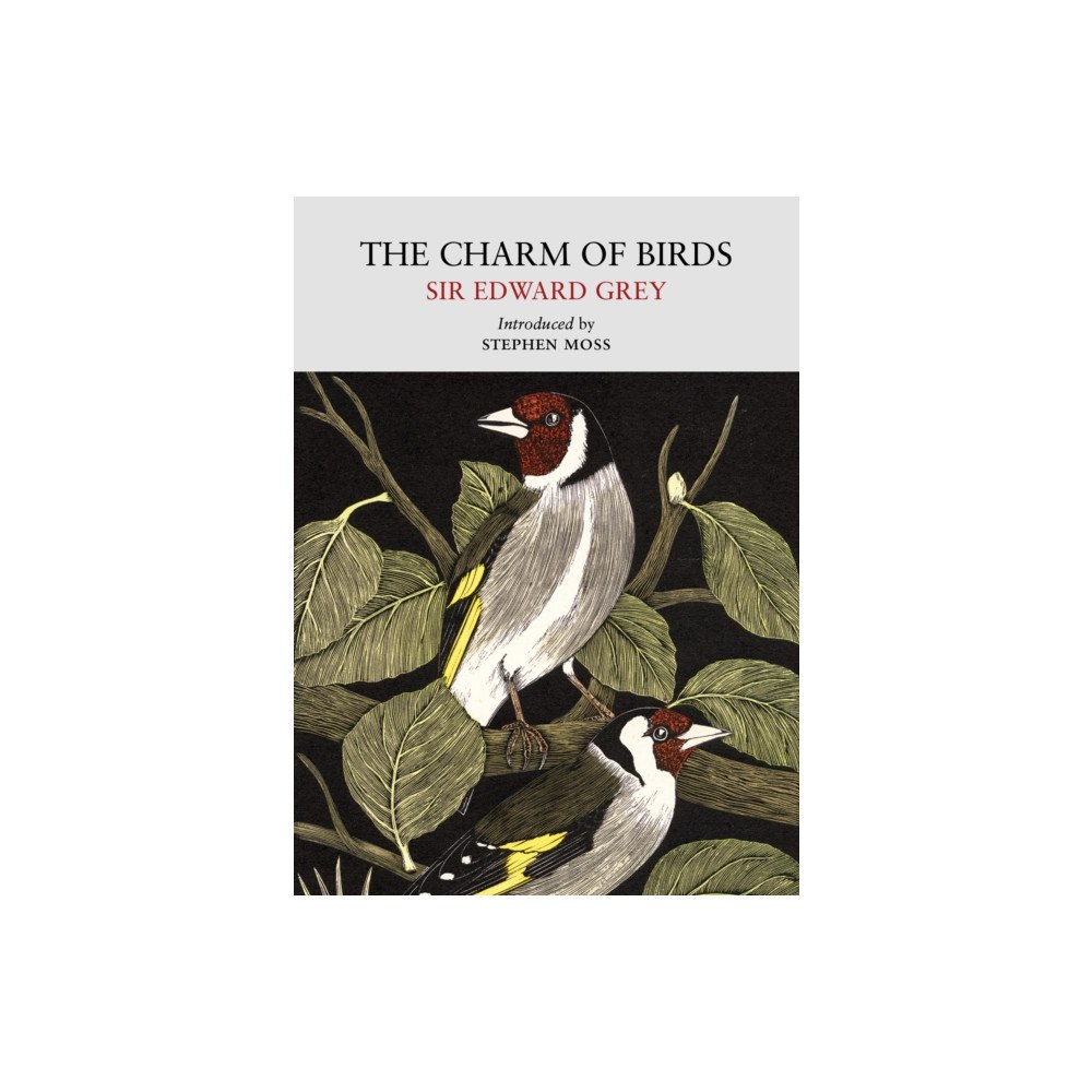 Little Toller Books The Charm of Birds (häftad, eng)