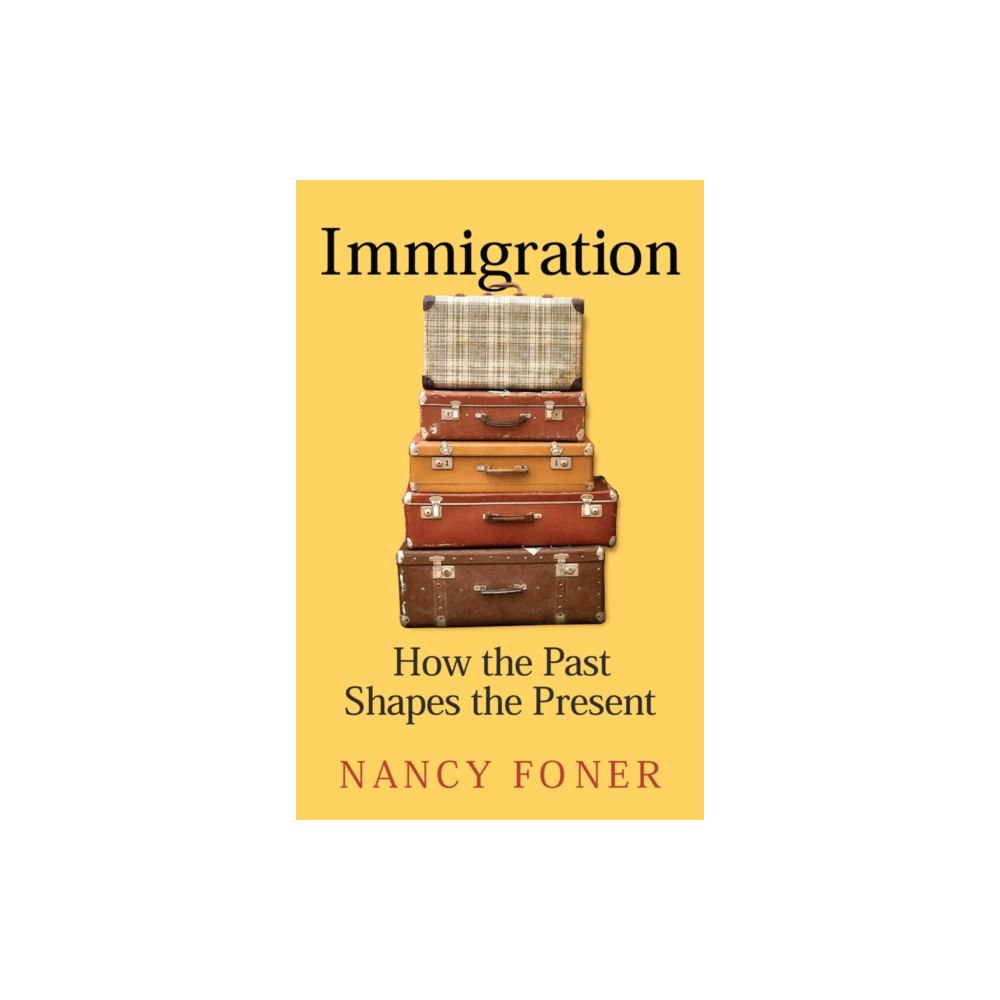 John Wiley And Sons Ltd Immigration (häftad, eng)