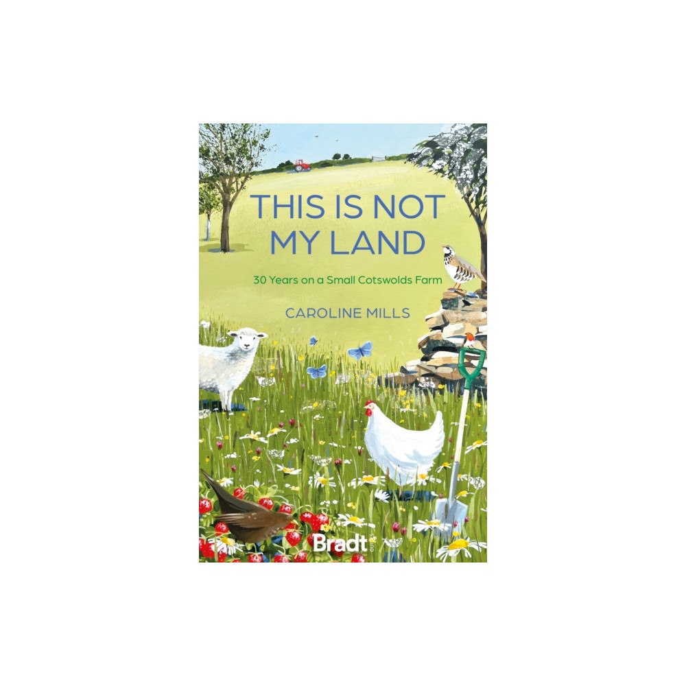 Bradt Travel Guides This is not my land (häftad, eng)