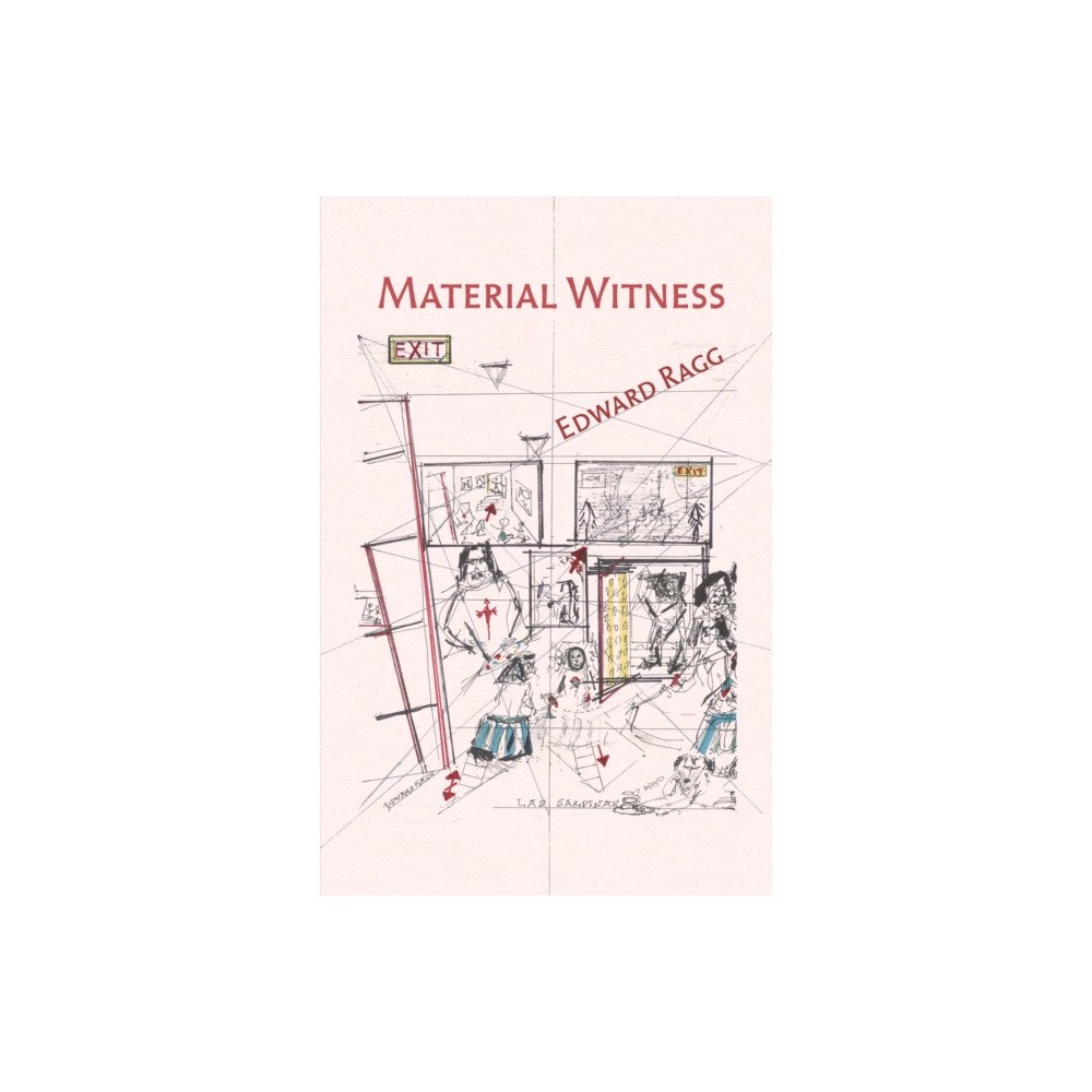 Cinnamon Press Material Witness (häftad, eng)