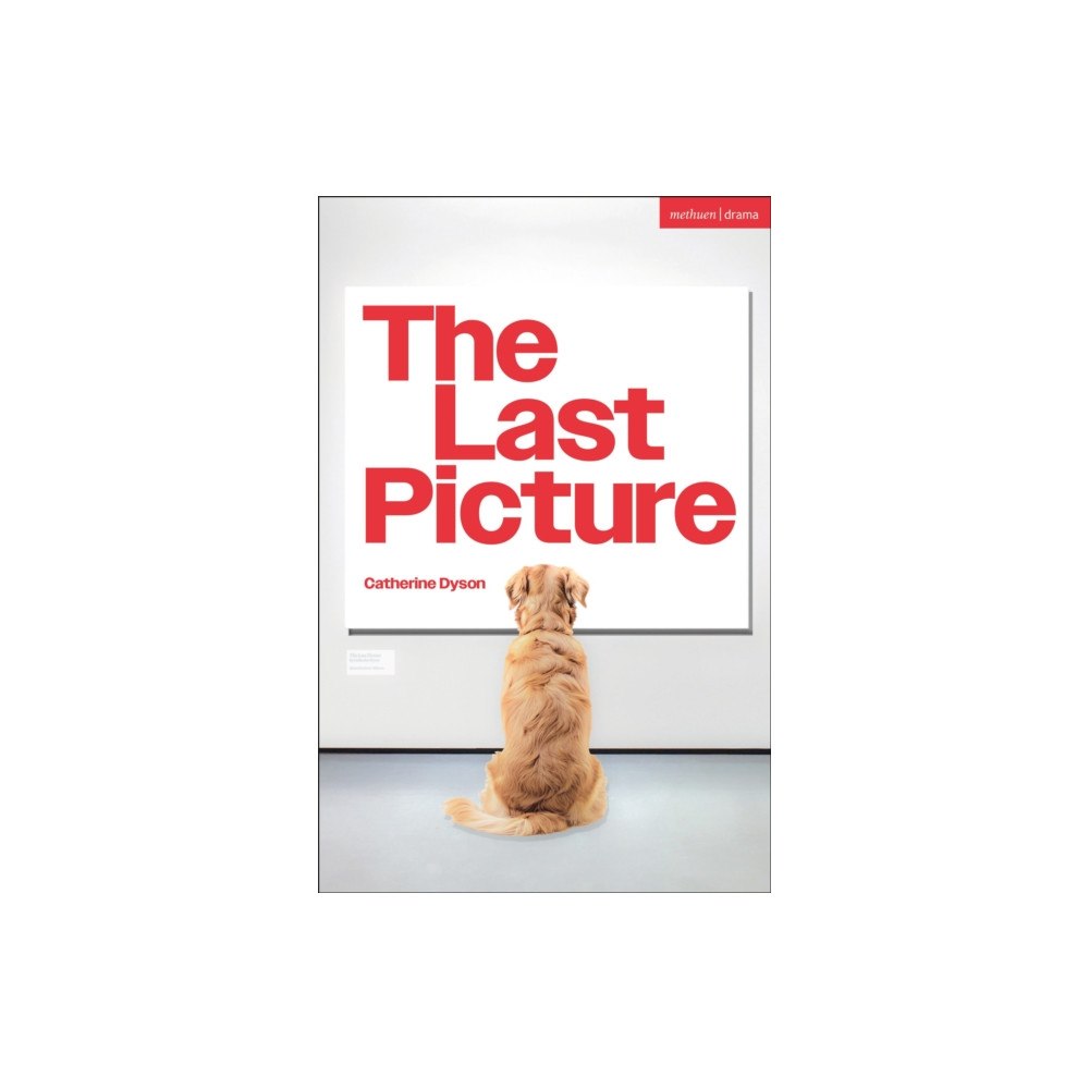 Bloomsbury Publishing PLC The Last Picture (häftad, eng)
