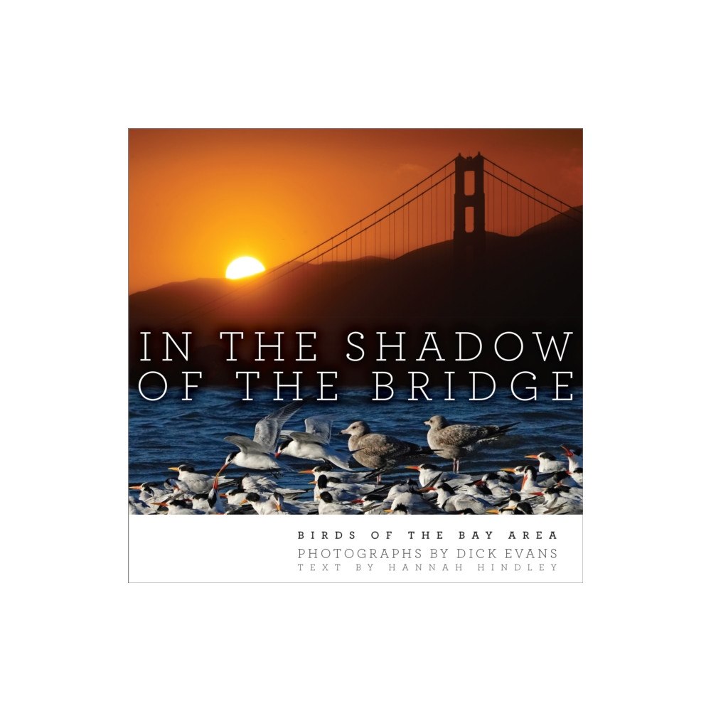 Heyday Books In the Shadow of the Bridge (inbunden, eng)