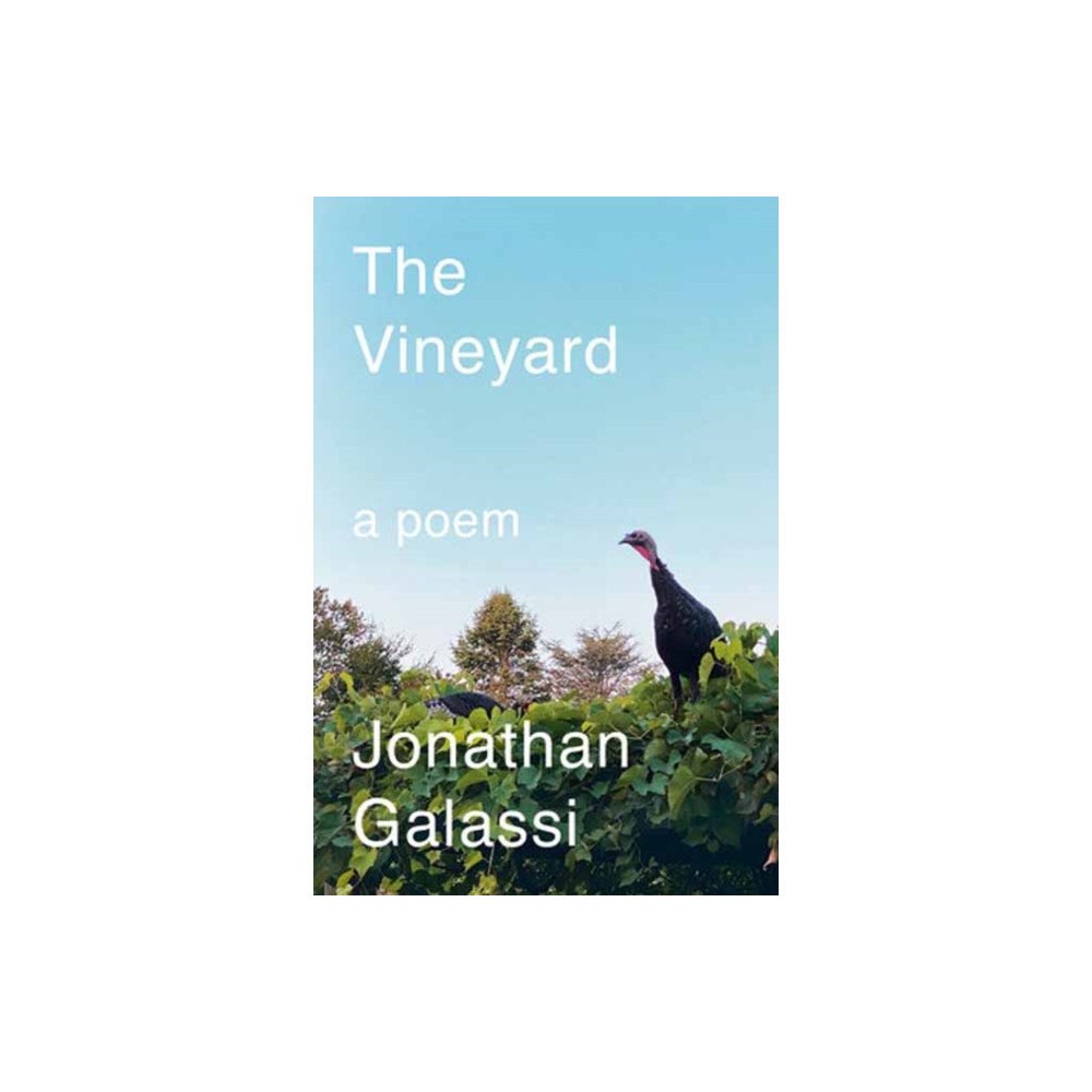 Random House USA Inc The Vineyard (inbunden, eng)