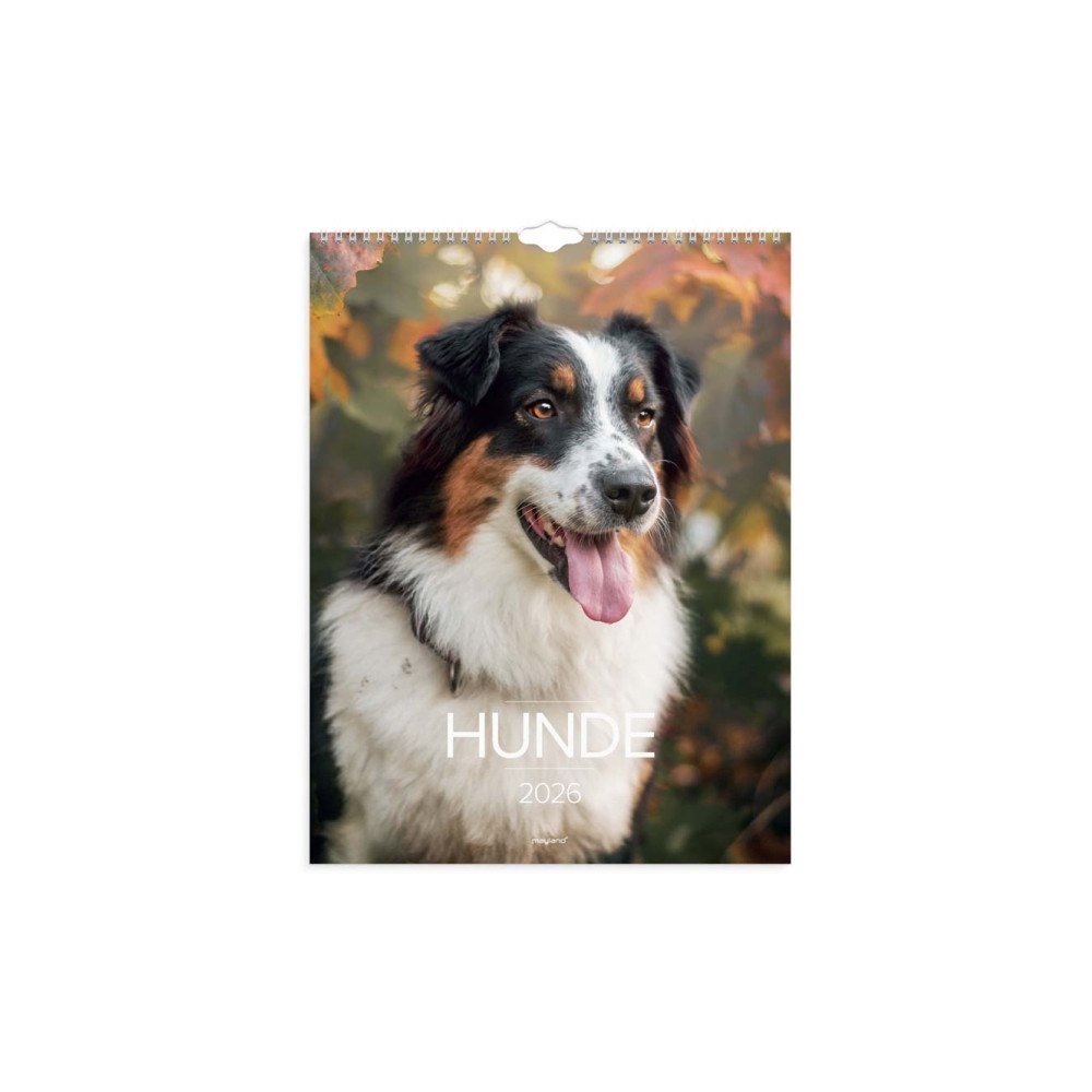 Mayland-Burde Mayland 26066320, Vägg, 24 sidor, Multifärg, Månad, 12 månad...