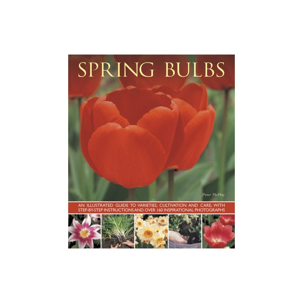 Anness publishing Spring Bulbs (häftad, eng)