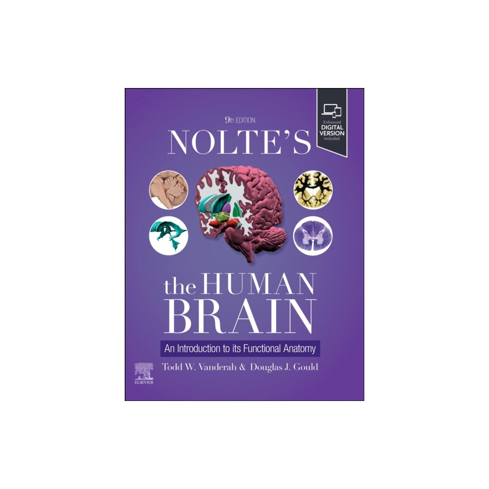 Elsevier Health Sciences Nolte's The Human Brain (häftad, eng)