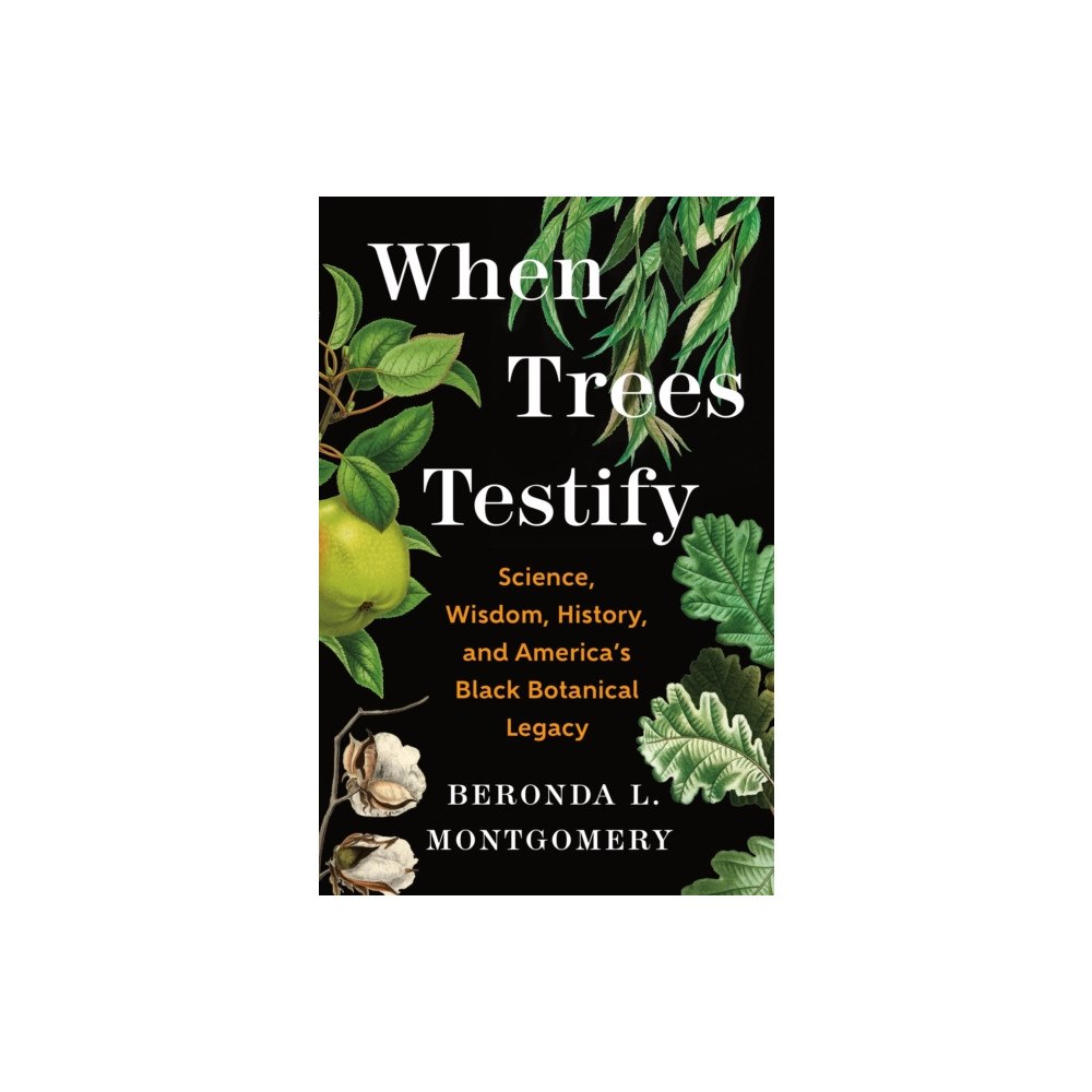 Henry Holt & Company Inc When Trees Testify (inbunden, eng)