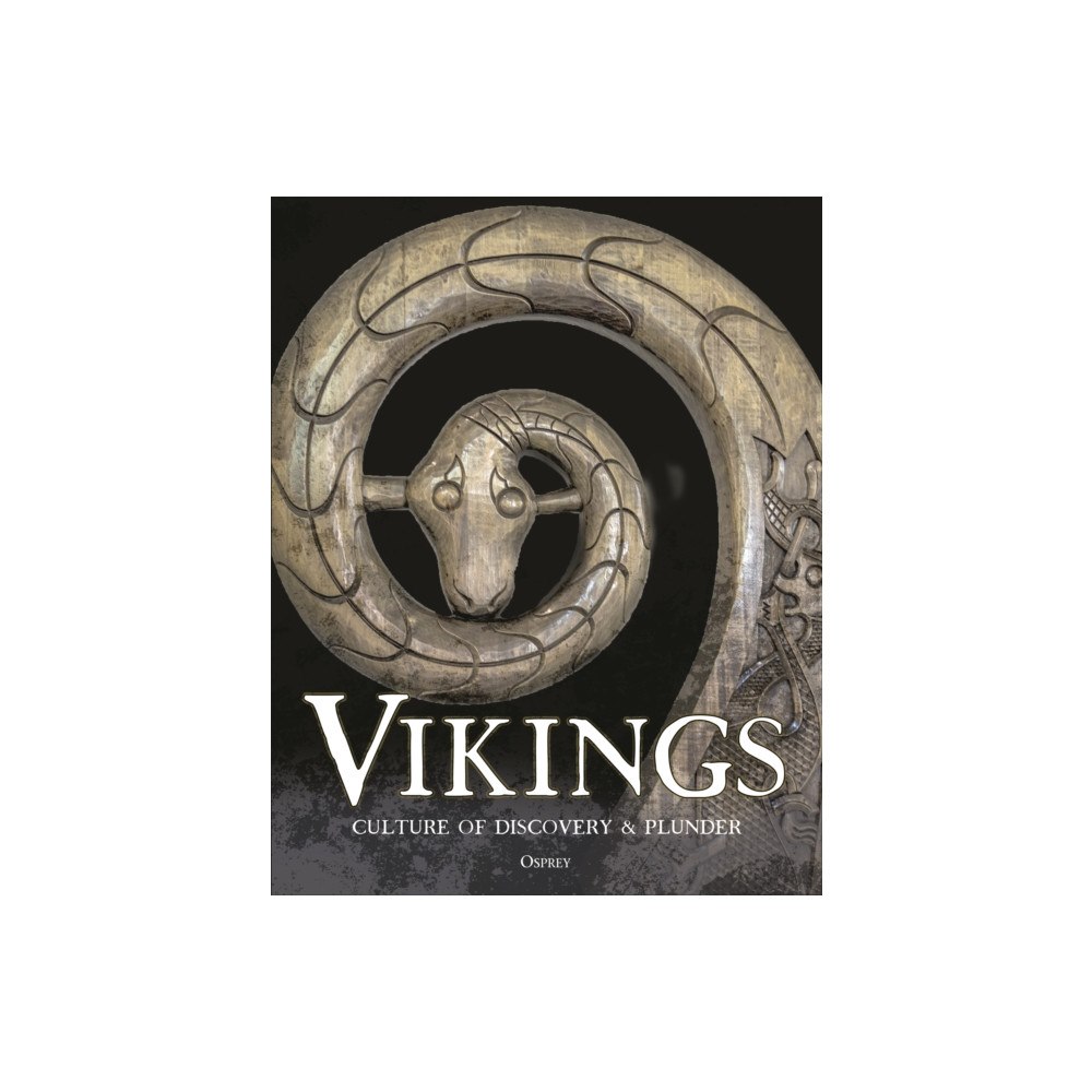 Bloomsbury Publishing PLC Vikings (inbunden, eng)