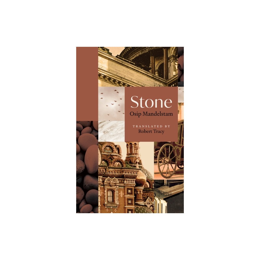 Princeton University Press Stone (häftad, eng)