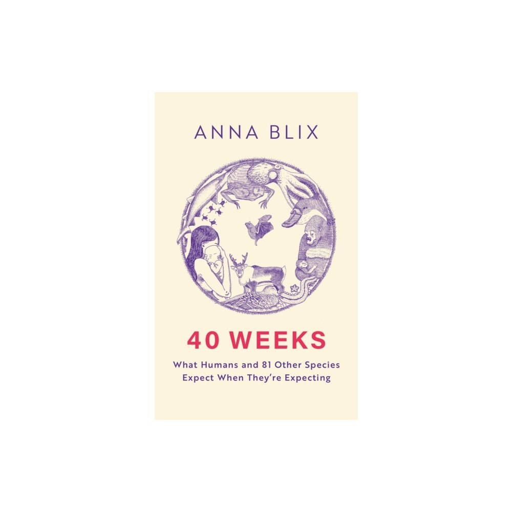 Quercus Publishing 40 Weeks (häftad, eng)