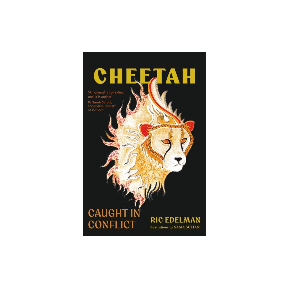 SOFTWOOD BOOKS Cheetah (inbunden, eng)