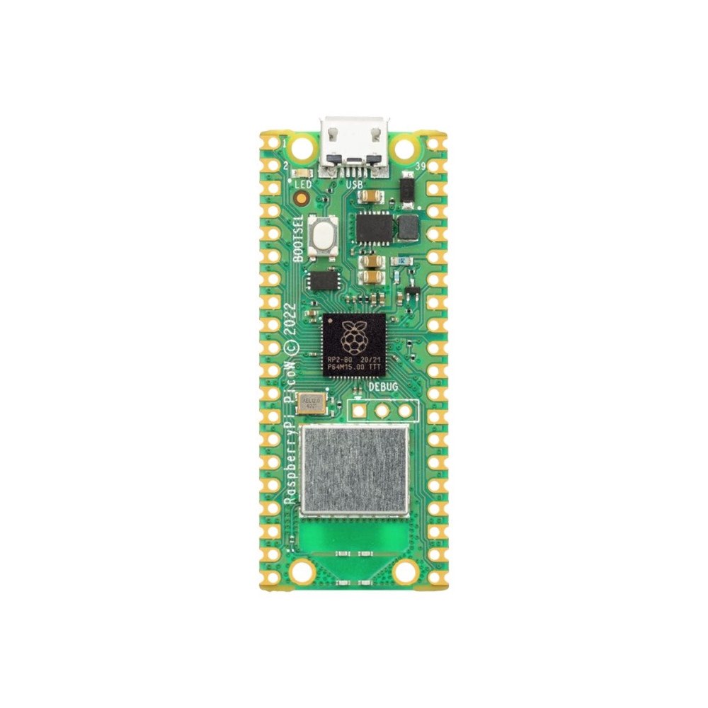 Raspberry Raspberry Pi Pico W