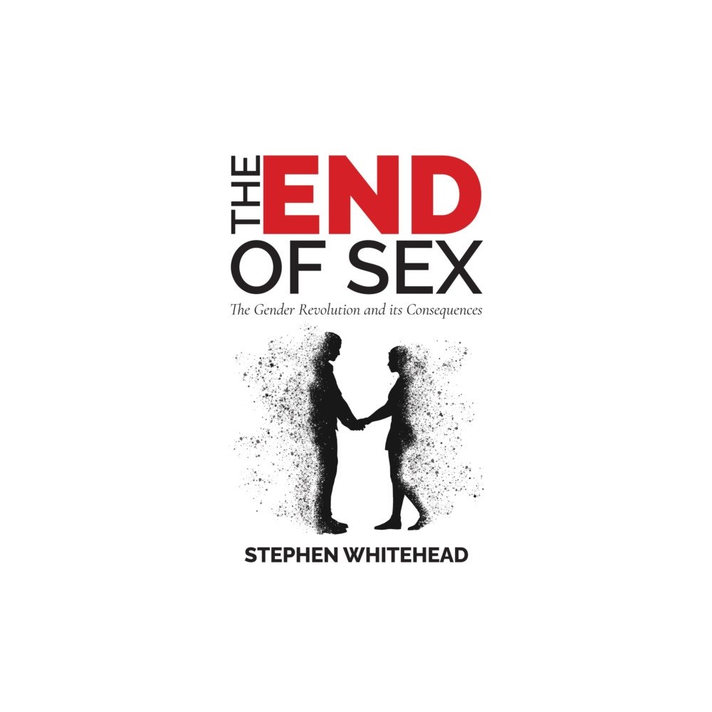 Andrews UK Limited The End of Sex (häftad, eng)