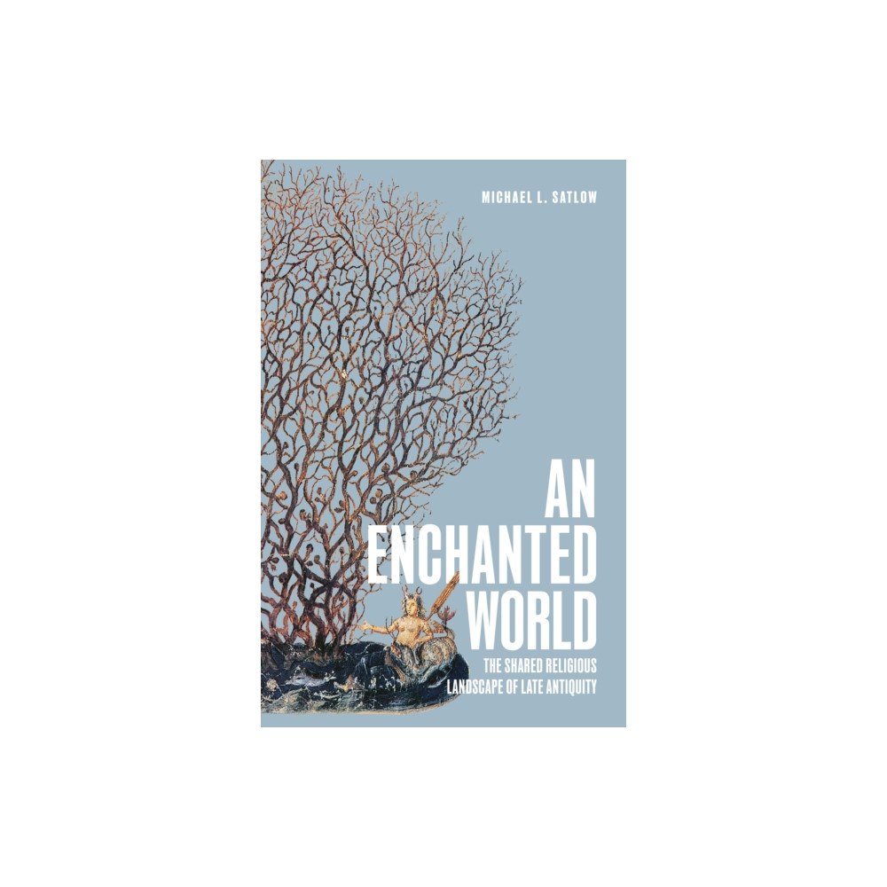 Princeton University Press An Enchanted World (inbunden, eng)
