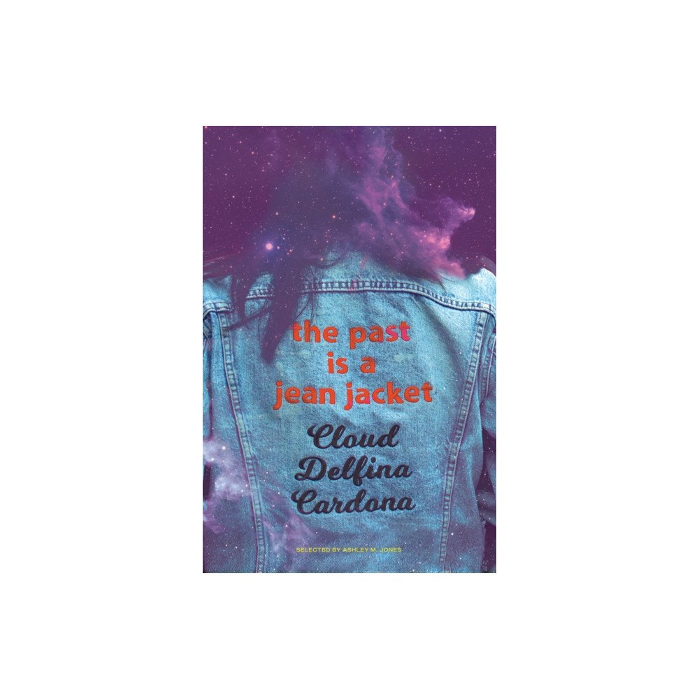 Hub City Press the past is a jean jacket (häftad, eng)