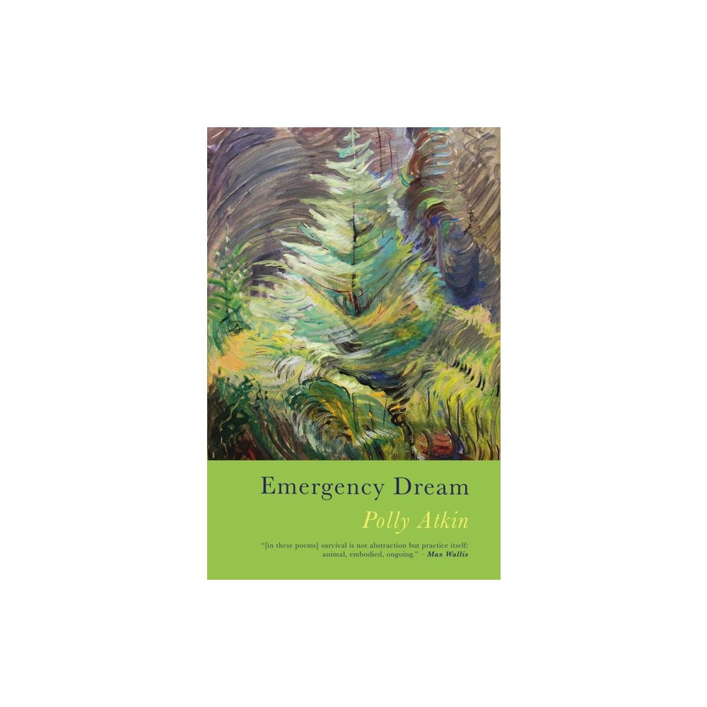 Poetry Wales Press Emergency Dream (häftad, eng)