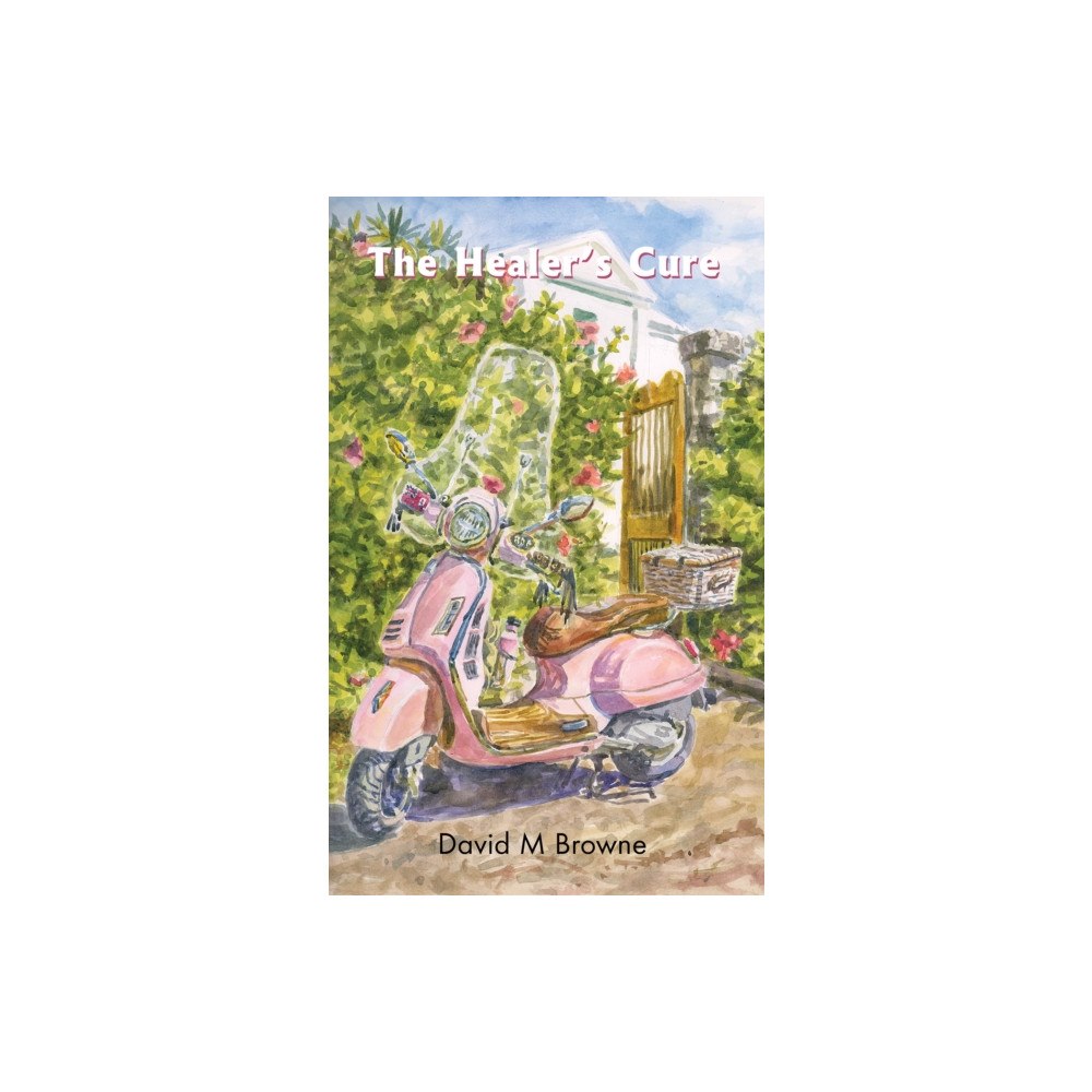 Austin Macauley Publishers The Healer’s Cure (häftad, eng)