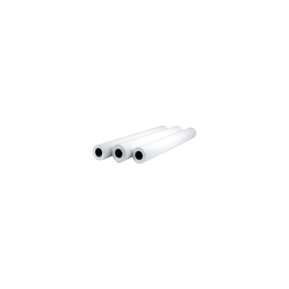 Hewlett-Packard HP Professional Matte Canvas - kanvaspapper - matt - 1 rulle (rullar) - Rulle (91,4 cm x 15,2 m) - 390 g/m²